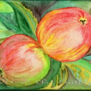 Apples watercolor on canvas original painting